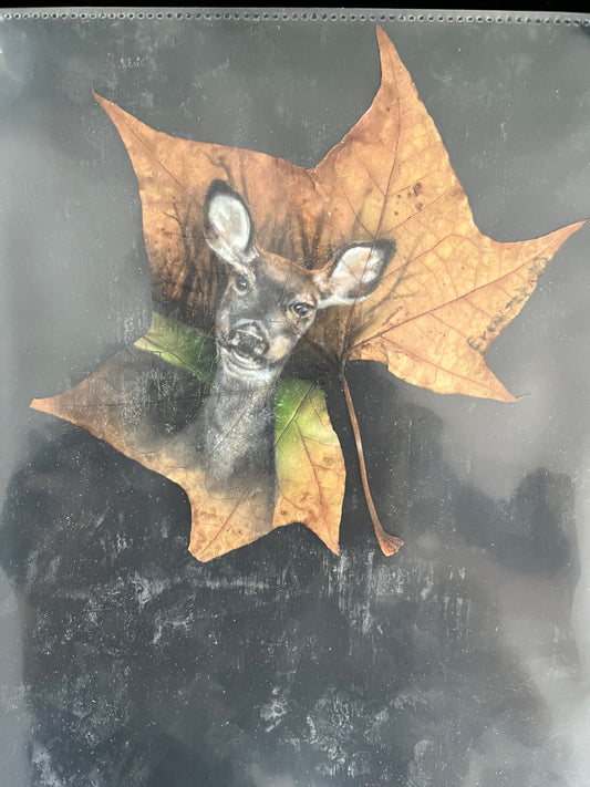 Airbrush Animal Leaf Portraits