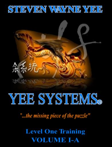 Yee Systems Book (link in description)